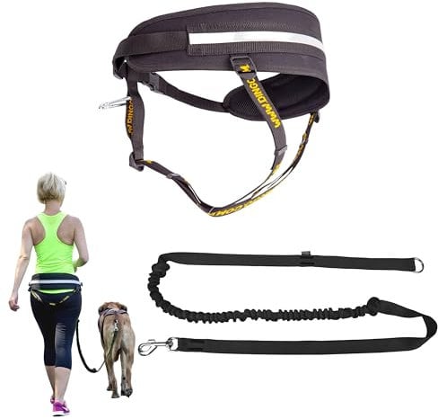 Dingo Multifunktions Lauf-Gürtel+Hundeleine mit Griff Karabiner Leine mit Ruckdämpfer Schwarz Canicross zum Joggen mit dem Hund Dogtrekking,Skijöring Z30004