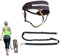 Dingo Multifunktions Lauf-Gürtel+Hundeleine mit Griff Karabiner Leine mit Ruckdämpfer Schwarz Canicross zum Joggen mit dem Hund Dogtrekking,Skijöring Z30004