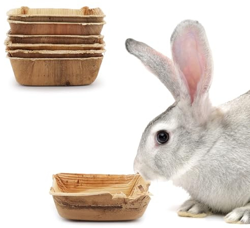 FIDWALL 6-Piece Palm Leaf Bowls pour Lapins,3.5 et 6 Tailles,Jouet pour Naturel,Accessoire Lapin,Jouet Lapin (3,5 Pouces*6)