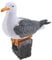 Tubayia Realistische Rabe/Möwe Gartenfigur Tiere Vogel Modell für Haus Garten Dekoration/Foto Requisiten (Möwe #20 x 9 x 20 cm)