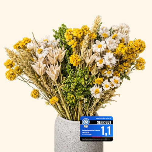 Trockenblumenstrauß handgebunden – Premium Trockenblumen für Wohnzimmer & Tischdeko – Natürliche getrocknete Blumen als Geschenk (Sunny Spring, L)