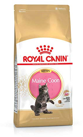 Royal Canin Maine Coon Kitten | 400 g | Alleinfuttermittel für Maine Coon Kitten | Speziell für Maine Coon Katzenwelpen entwickelt | Geeignet bis zum 12. Lebensmonat