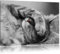 Pixxprint niedliche Katze beim schlafen B&W, Größe: 120x80cm, Leinwandbild, fertig gespannt, Wandbild, Dekoration, Kunstdruck, kein Poster