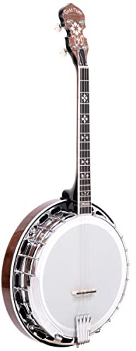 Gold Tone IT-250F Irish Tenor Banjo (Vintage Brown)