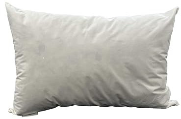 Daunenbettenfabrik Federkissen ca. 60x70cm Kissenfüllung, Innenkissen, Kissen 1100g Füllung Füllkissen/Federkissen/Sofakissen deutsche Produktion (60 x 70 mit Federfüllung ca. 1100 gr.)