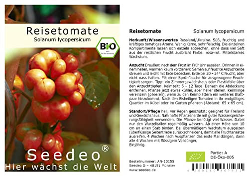 Seedeo® Reisetomate (Solanum lycopersicum) 10 Samen BIO