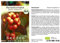 Seedeo® Reisetomate (Solanum lycopersicum) 10 Samen BIO