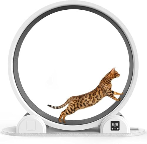Katzenlaufrad Laufrad FüR Katzen Intelligent Mit Solaraufladung,Digitaler Sport Haustier Katze Laufrad Mit MeterzäHlung GroßEs üBungsrad FüR Katzen,Katzenlaufrad FüR Wohnungskatzen