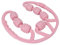 LUCKDANO Masseur de Jambe Rouleau, Masseur à Rouleau pour les Jambes Musculaire de Mollet 7 Roues Tout Autour de Massage Soulage la Douleur Musculaire Rouleaux de de Massage des pour le Mollet Rose