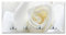motivX-Ideenwerkstatt Design Wandgarderobe VESTIMA mit Motiv - Weisse Rose