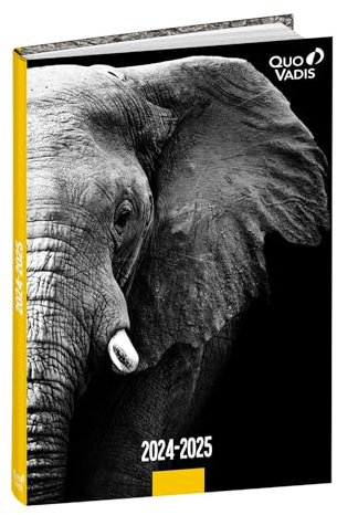 Schülerkalender FORUM DE Tiere Elefant 2024/2025: Schülerkalender