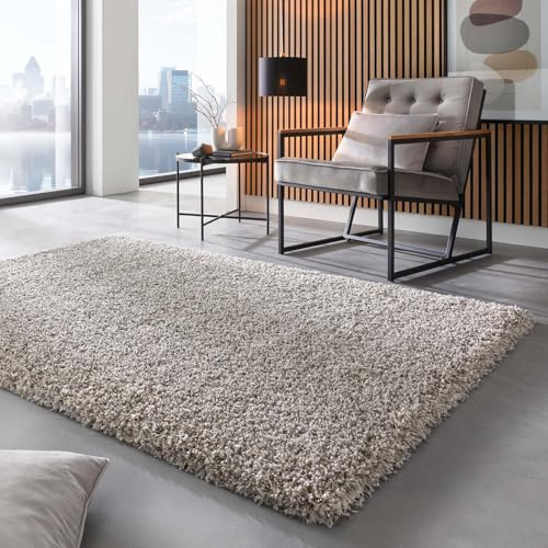 Taracarpet Shaggy Hochflor Langflor Teppich Twilight Luxus Qualität aus Belgien geeignet fürs Wohnzimmer Schlafzimmer und Kinderzimmer 6699 Silber grau Weiss 065x130 cm