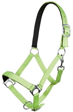 HKM Stars Softice Halfter Neon Grün One Size
