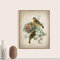 ZMFBHFBH Vogel Botanisches Poster Leinwand Malerei Grünfink Vogel Antike Illustration Druck Nest Naturgeschichte Wandkunst Zimmer Dekor 50x75cm (20x30in) Mit Rahmen