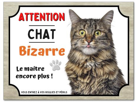 Plaque attention au chat bizarre humour panneau monte la garde pancarte aluminium 15x20cm