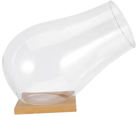 HEMOTON 1 Ensemble Bocal Transparent pour Plantes avec Plateau Décoration pour Maison et Événements Conteneur de Plante Pratique et