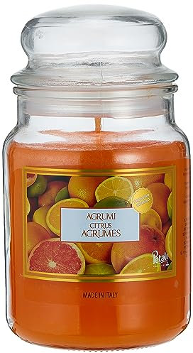 Ser Aladino Scented Candle in Sugar Bowl Large Citrus Fruits 550 g Duration 100 Hours