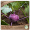 Samenliebe BIO Kohlrabi Samen alte Sorte Purple Vienna leicht nussiger Winterkohlrabi Winterkohl blau lila 200 Samen samenfestes Gemüse Saatgut für Gewächshaus Freiland und Balkon BIO Gemüsesamen