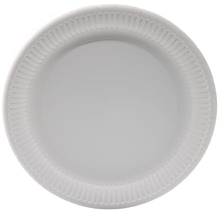 Enpack 100 Stück Einweg Teller aus Papier 23cm - Einwegteller in weiß - Pappteller Geburtstag - Einweggeschirr umweltfreundlich & nachhaltig - Einmal Teller für Partys - bio plates