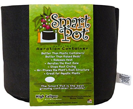 Geotextil Textil Blumentopf Smart Pots 1 GAL (3,8L)