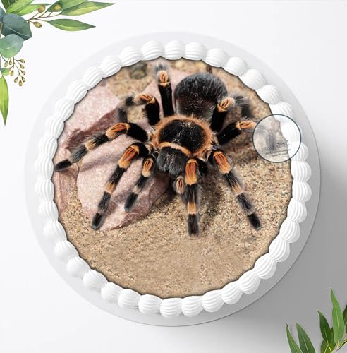 Spinnen, Vogelspinne, Essbares Foto für Torten, Tortenbild, Tortenaufleger Ø 20cm - Super Qualität, 1179a