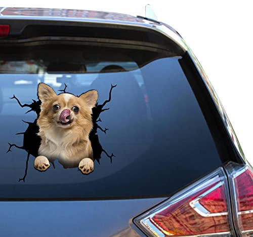 Stickers De Chihuahua bunte Chihuahua-Aufkleber, lustige Witze, wetterfest, Fenster-Aufkleber für Jungs, niedlicher Kühler-Auto-Aufkleber