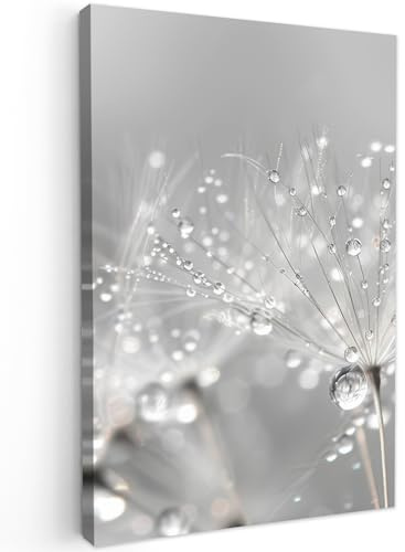 MuchoWow© Leinwandbilder Wall Art Decoration Bilder für die Wand - Modern | 40x60 cm - Schlafzimmer Deko Canvas Painting Wanddekoration Wohnzimmer Pusteblume - Wassertropfen - Stilleben