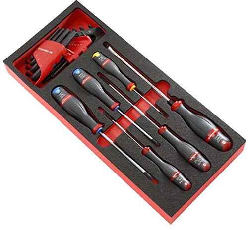 FACOM MODM.A7 Module mousse tournevis avec Clé Mâles, Multicolore