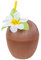Boland 52365 – Coupe noix de coco Hawaii avec paille, marron