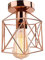 iDEGU Vintage Deckenleuchte Industrielle Deckenlampe Ø15 cm Geometrisches Käfig Design Lampenschirm Mini Deckenleuchte E27 Beleuchtung für Schlafzimmer Küche, Roségold