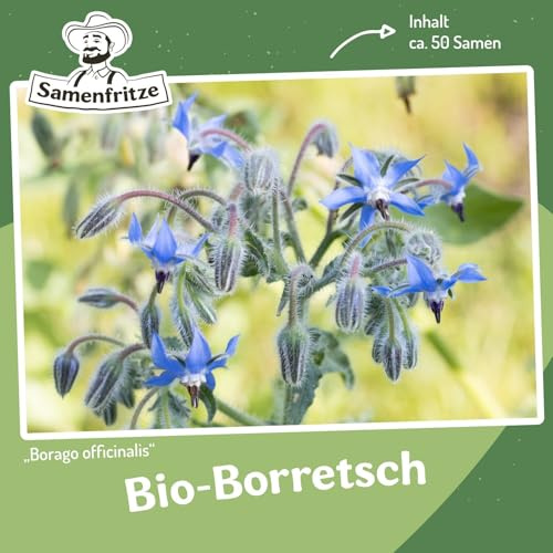 Bio-Borretsch (Gurkenkraut) Samen