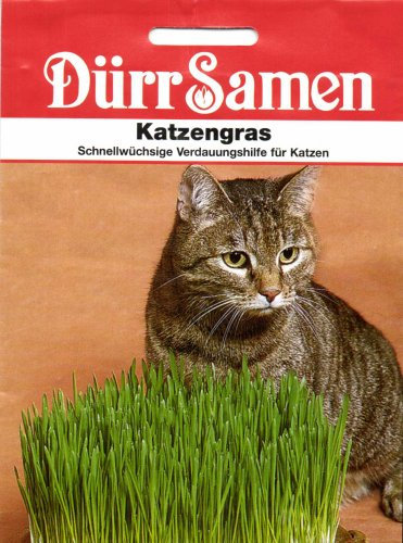 Dürr-Samen - Katzengras Saatgut
