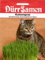 Dürr Samen 0223 Katzengras (Katzengräsersamen)