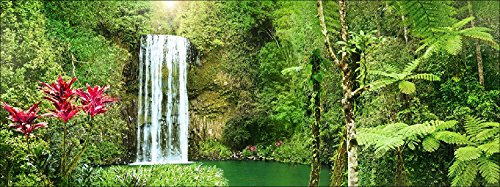 Pro-Art gla1119b Wandbild Glas-Art 'Exotic Waterfall' 50 x 50 cm