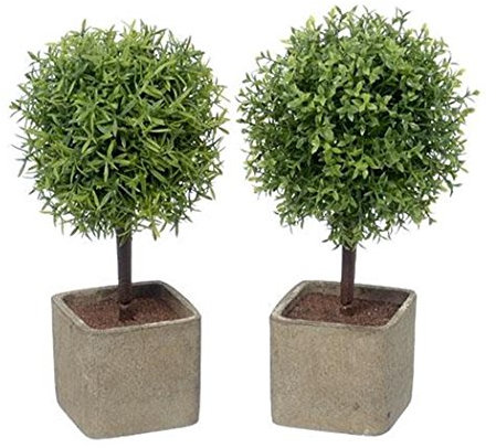 Baum im Topf, 2er Set