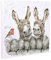 Wrendale Leinwand klein, Aufdruck Eselpaar&Rotkehlchen, HEE-Haw, 20x20 cm