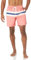 Amazon Essentials Short de Bain à Séchage Rapide Entrejambe 18 cm - couleurs abandonnées Homme, Bleu Rose Corail Rayures, XXL