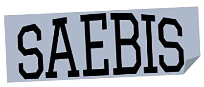 SAEBIS Autoaufkleber Lifestyle weiß oder schwarz - Sticker - Zubehör - Tuning - Autofolie - Klebefolie - Autosticker - Frontscheibe - Heckscheibe (schwarz)