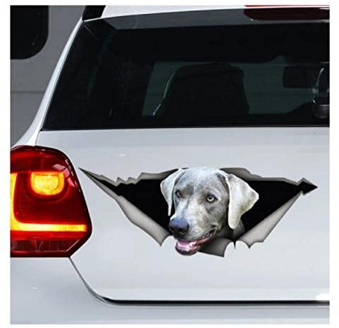 Generic Auto Sticker Autoaufkleber Lustig Dog Silber Labrador Aufkleber, Labrador, Silber Labrador Aufkleber, Hund Aufkleber, Laptop Aufkleber（15Cm） C1S320(1PCS)