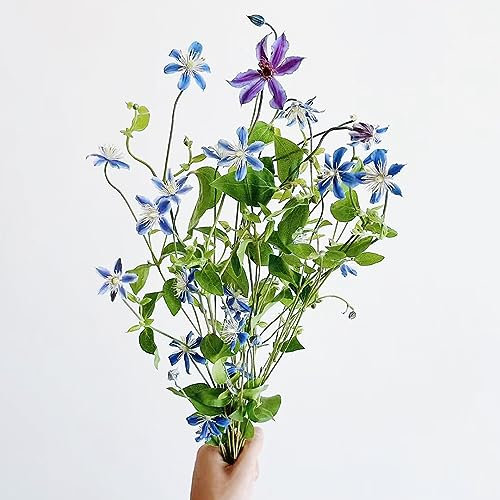 250 pcs clematis winterhart mehrjährig samen - winterharte kübelpflanzen gartenblumen,Clematis florida, bonsai samen blumendeko bienenfreundliche blumensamen seed mittagsblume winterhart
