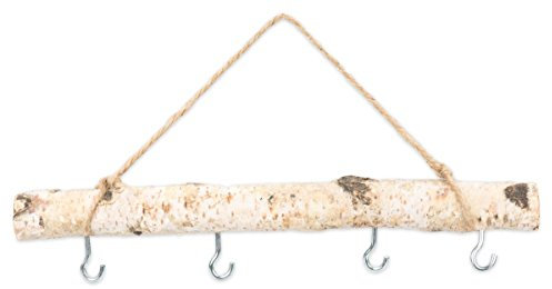 NaDeco Birkenzweig ca. 30cm mit 4 Haken und Kordel | Hängeast Birke | Deko Zweige mit Kordel | Fensterdekoration | Türdeko | Türhänger | Fensterdeko | Fensterhänger | Türhänger