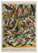 Generisch Poster Vogelarten | Vintage nützliche Vögel Millot A3 (42 x 29,7 cm)