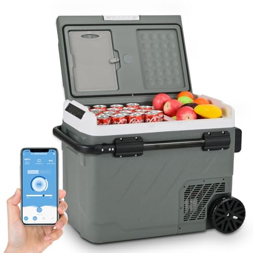 Alpicool 49L Kompressor Kühlbox Elektrisch, Zwei Zonen Kühlschrank Auto Mit APP-Steuerung, Kühlbox 12V 230V Kompressor für Auto, Kühlschrank für Auto, Camping, Fahrten, Boot, -20℃-20℃