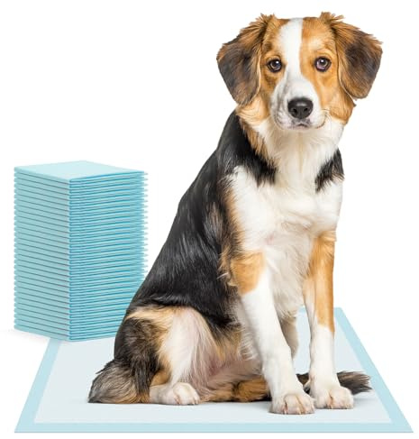 200x ARNOMED® Welpen Unterlagen 60x90cm, Saugfähige Pipi Matten Hunde | Puppy & Dog Pads, Trainigspad 5-lagig, Inkontinenzunterlagen Hund & Welpen, Hundeunterlagen Pipi, Matten Auslaufsicher