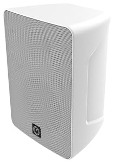 INTUSONIC 4FP40R 4 2-Wege Outdoor Speaker white