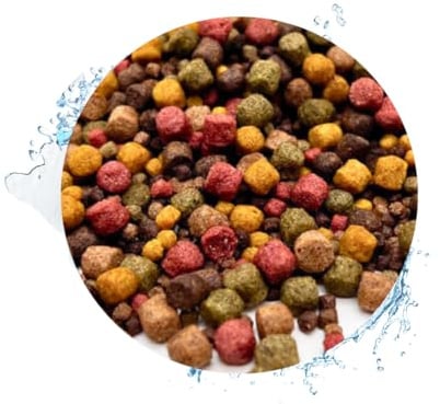 Warnick's Fischfutter Koifutter 10-Sorten-Mix 3-6 mm - 5 Liter | Fischfutter für Koi & Zierfische - Schwimmend & sinkend, gut verdaulich - Farbverstärkend mit Spirulina