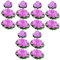 Alipis 3 Sätze Simulierte Seerose Für Hausdekoration Lilie Blume Anlage Aquarium Künstlich Lotus Pads Gefälscht Lebensechte Seerose Seerosen Groß Fälschung Pflanzen Violett 6 Stücke * 3
