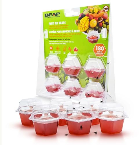 BEAPCO 10036 Red 6-Pack Premium Fruit Fly 6 Pre-Filled Trap Flies Indoors | Easy Effective and Safe to Use | Food-Based Lure/Bait Catcher