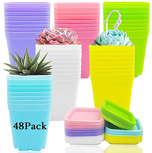 Haawooky Bunte Kunststoff-Pflanztöpfe, quadratisch, 7,6 cm, 48 Stück, Setzling-Töpfe mit Untersetzern für Garten, Zuhause, Büro, Balkon, Dekoration, Gartengeschenke