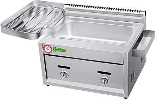Freidora de gas comercial for exteriores, cocina de restaurante profesional, freidora de propano de escritorio de acero inoxidable, freidora de doble cilindro multifunción, freidora con cesta y tapa,
